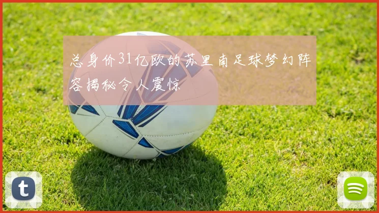 总身价31亿欧的苏里南足球梦幻阵容揭秘令人震惊