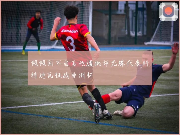 佩佩因不当言论遭批评无缘代表科特迪瓦征战非洲杯